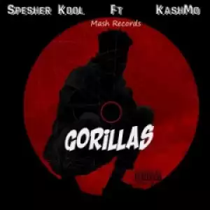Spesher Kool - Gorillas ft. KashMo